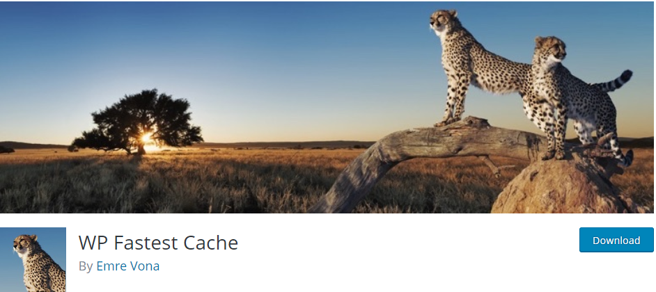 plugin de mise en cache