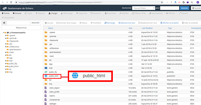 Wordpress multisite