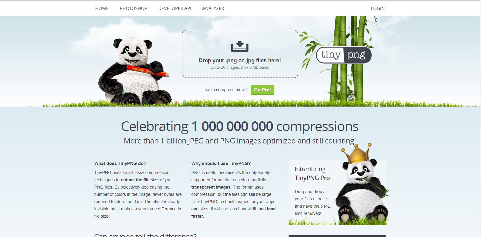 optimiser WordPress