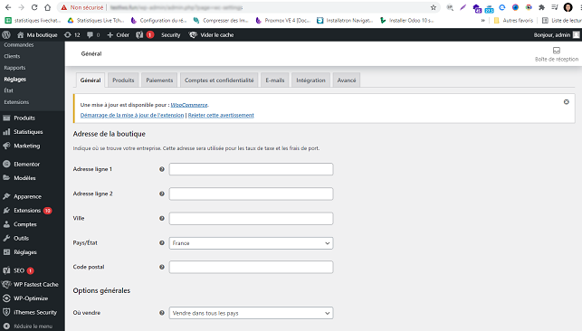 Wordpress ecommerce