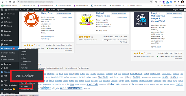 WP Rocket réglages