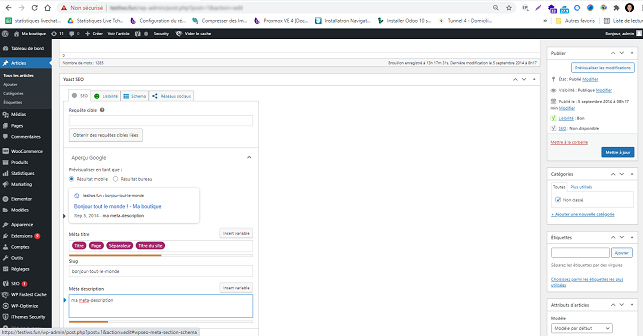 écrire une méta-description dans WordPress