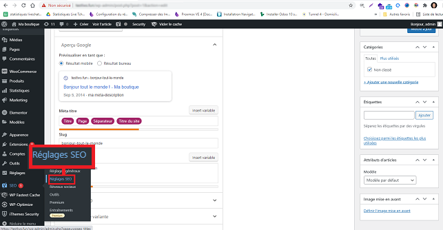 méta-description dans WordPress