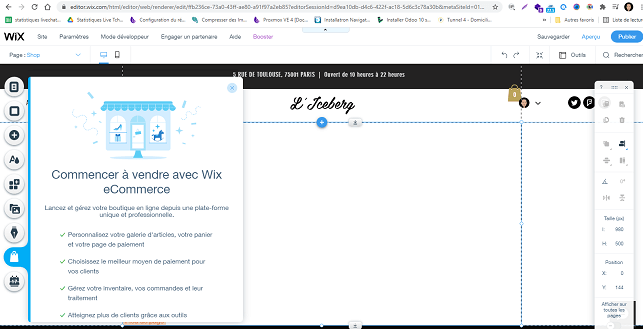 Wix VS WordPress